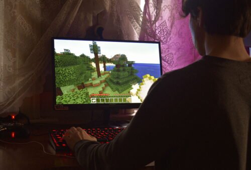 Skindex: Your Ultimate Guide to Minecraft Skins