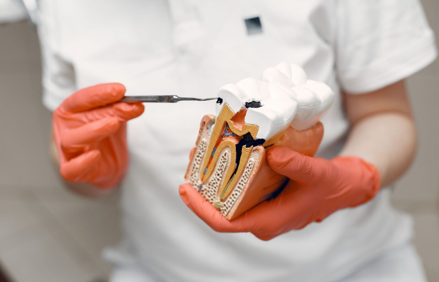What Is an Endodontist? A Real-World Guide to the Dentist